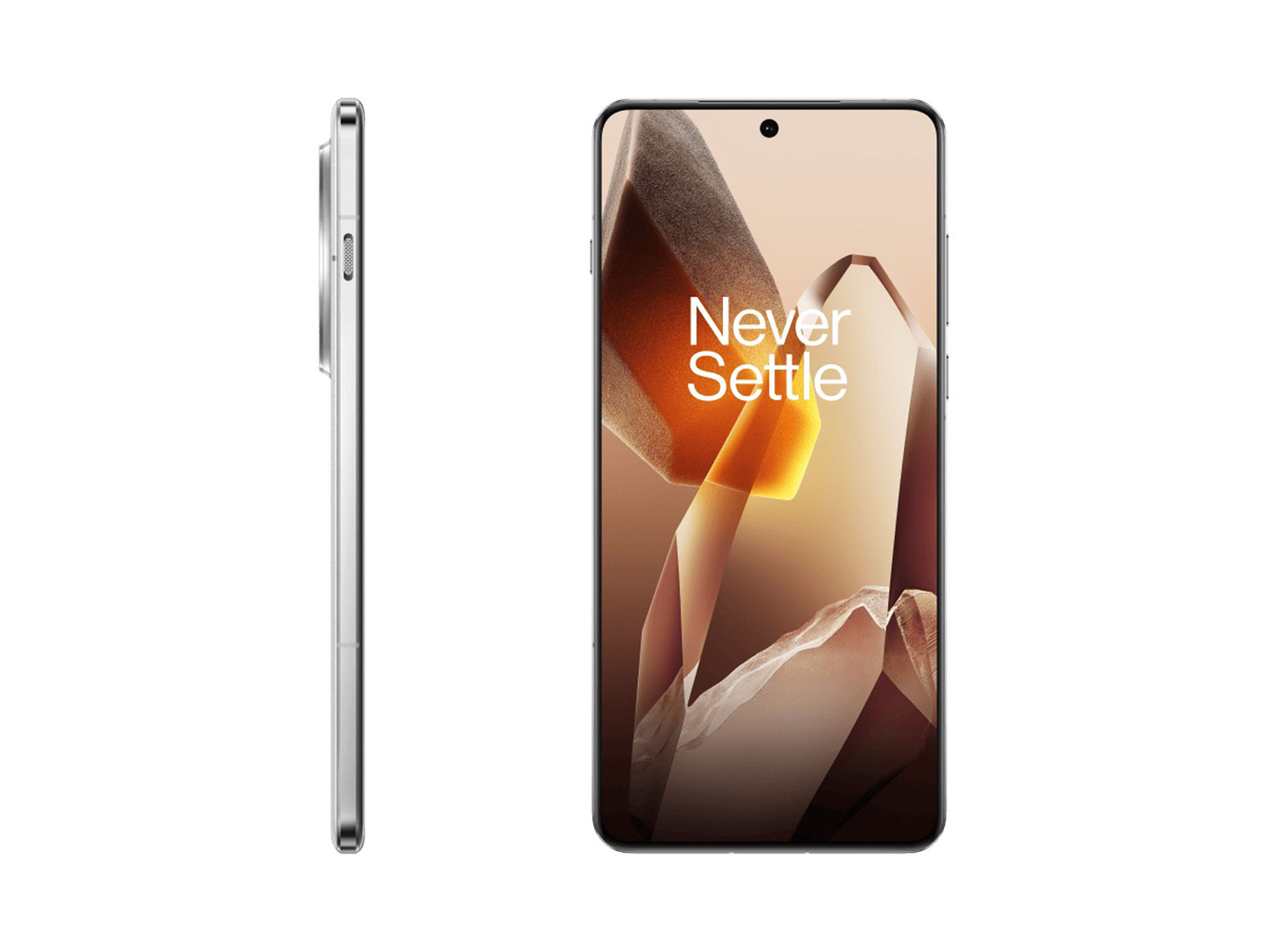 smart phone oneplus 13 16gb 512gb (arctic down) (cph2653